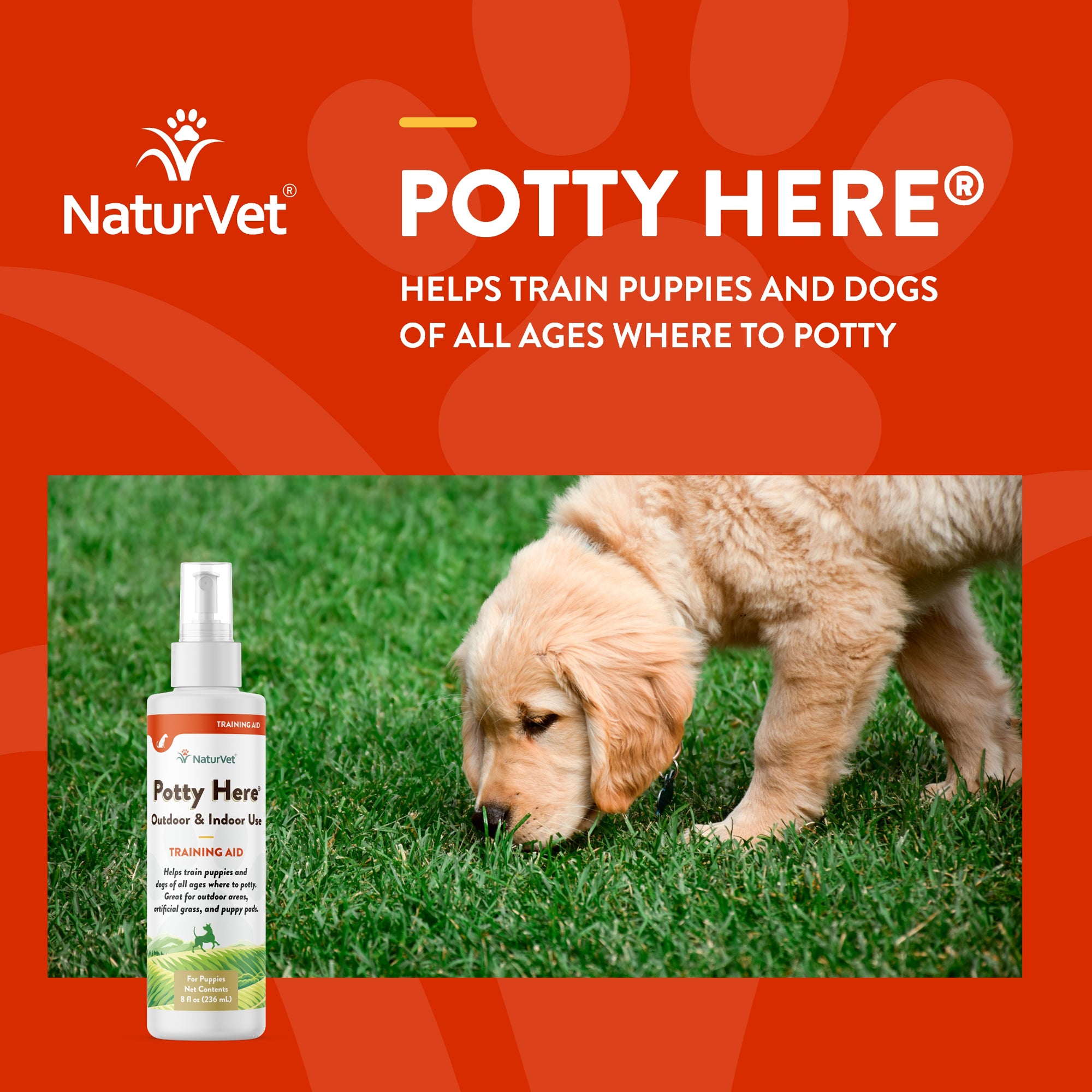 Potty Here Training Aid Spray