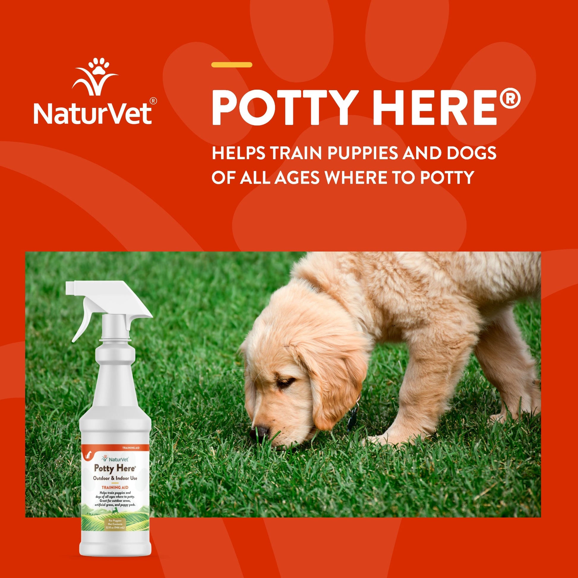 Potty Here® Training Aid Spray NaturVet® - Main Image