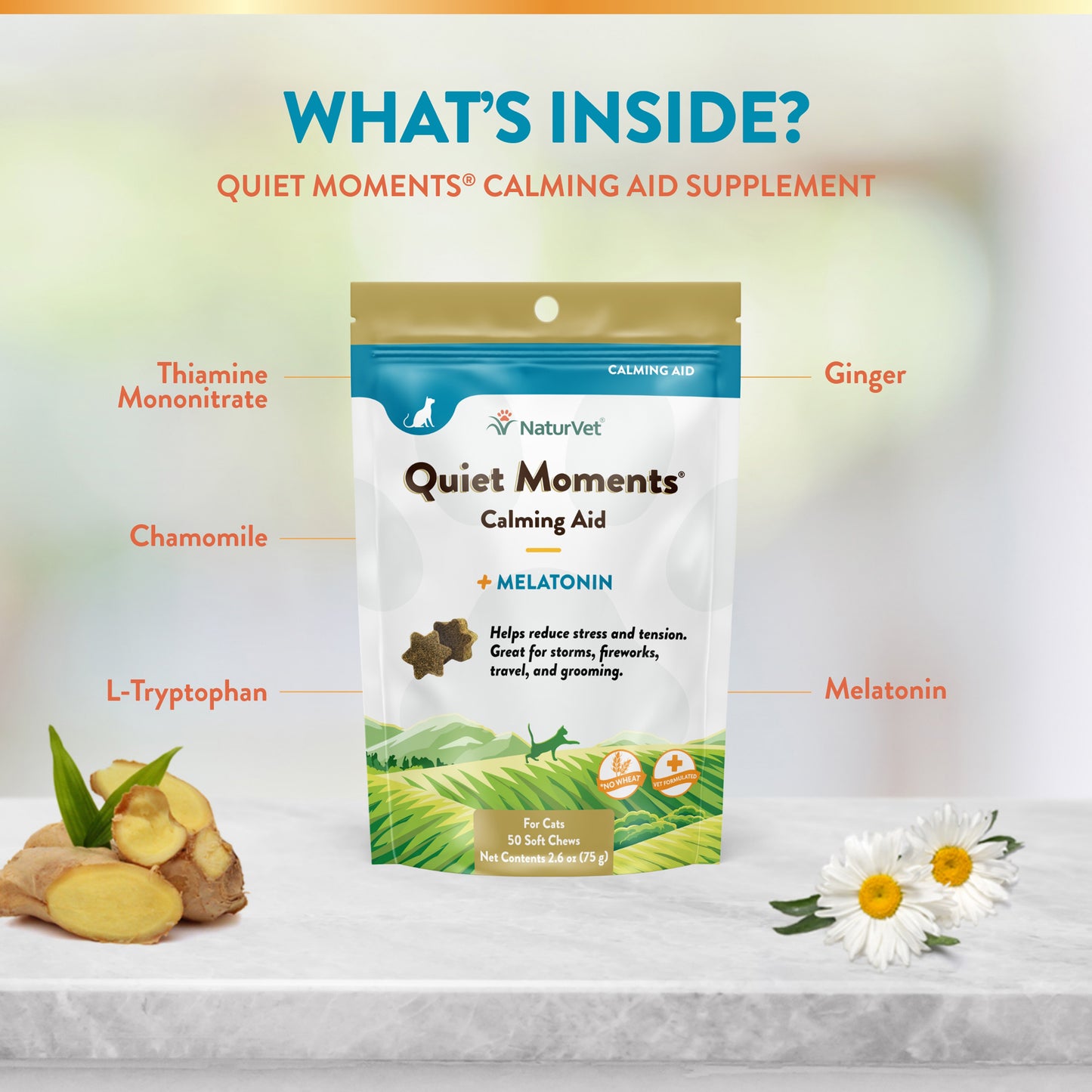 Quiet Moments® Plus Melatonin Cat Soft Chews