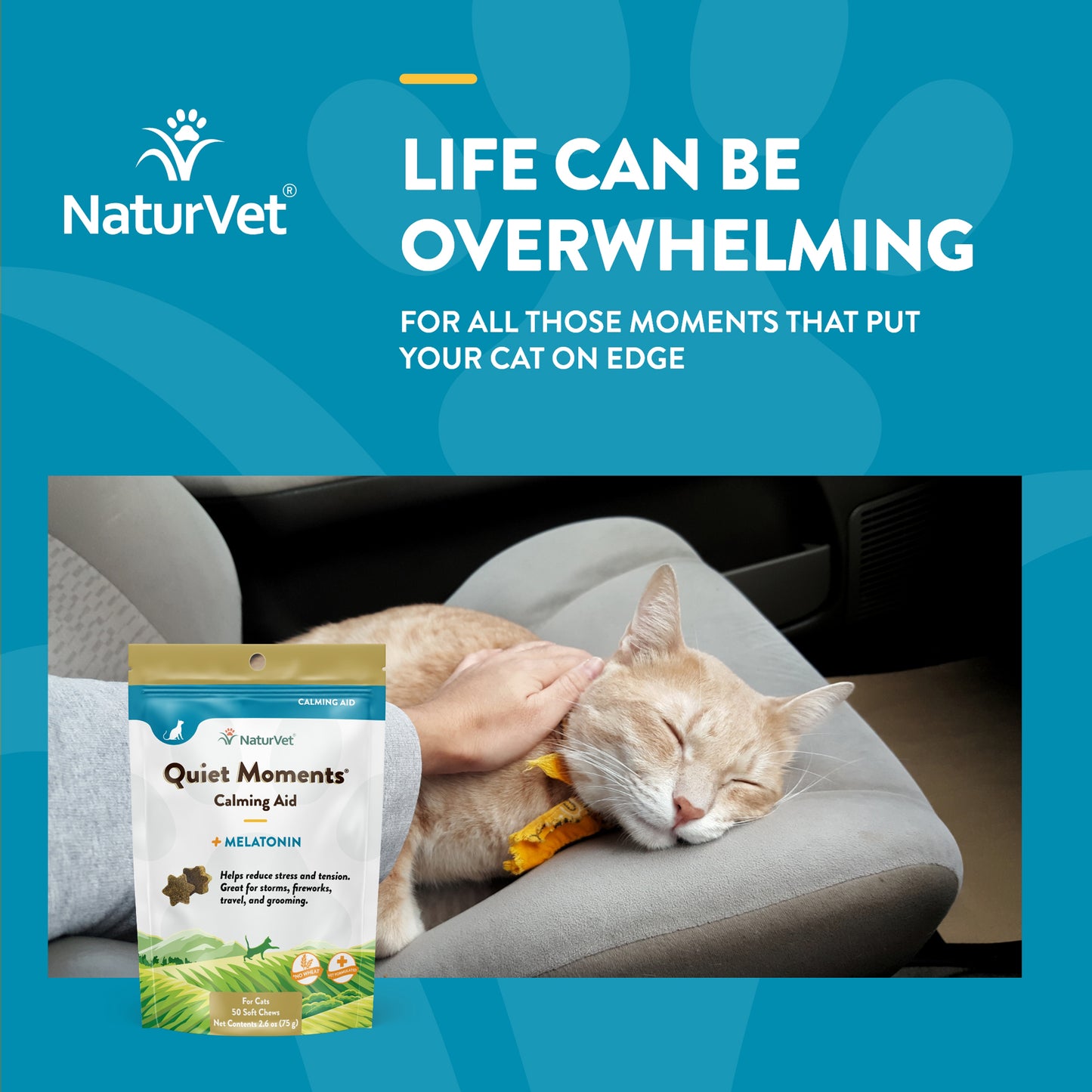 Quiet Moments® Plus Melatonin Cat Soft Chews