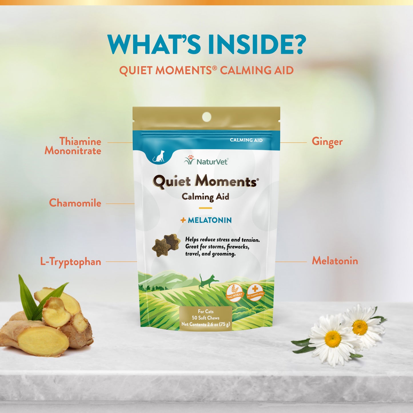 Quiet Moments® Plus Melatonin Cat Soft Chews