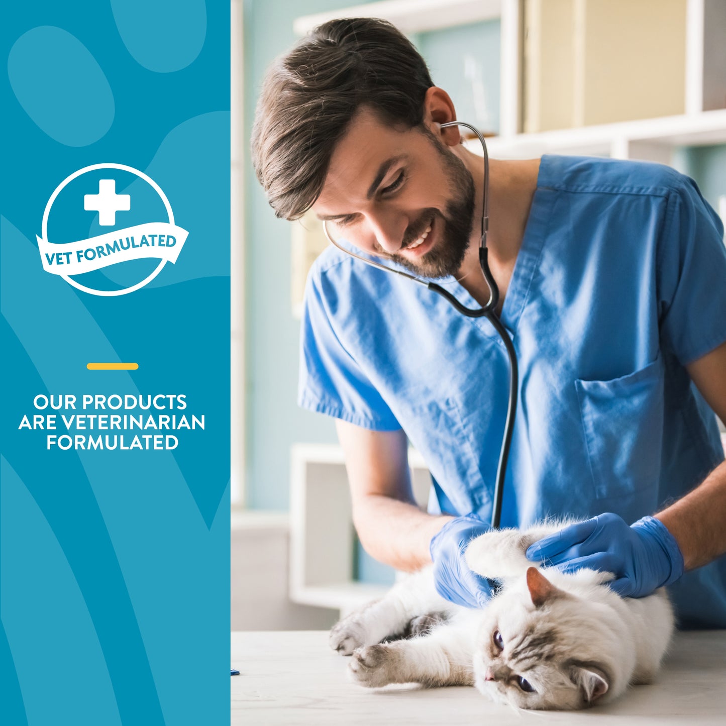 Quiet Moments® Plus Melatonin Cat Soft Chews