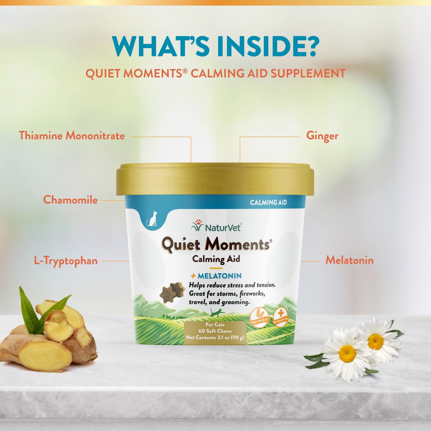 Quiet Moments® Cat Soft Chews