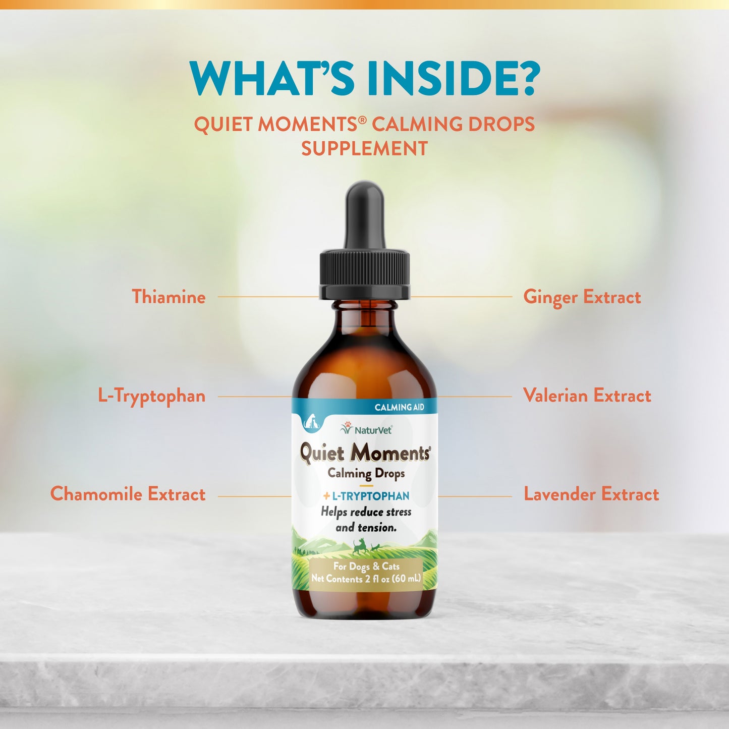 Quiet Moments® Calming Drops Calming Aid 2 fl oz