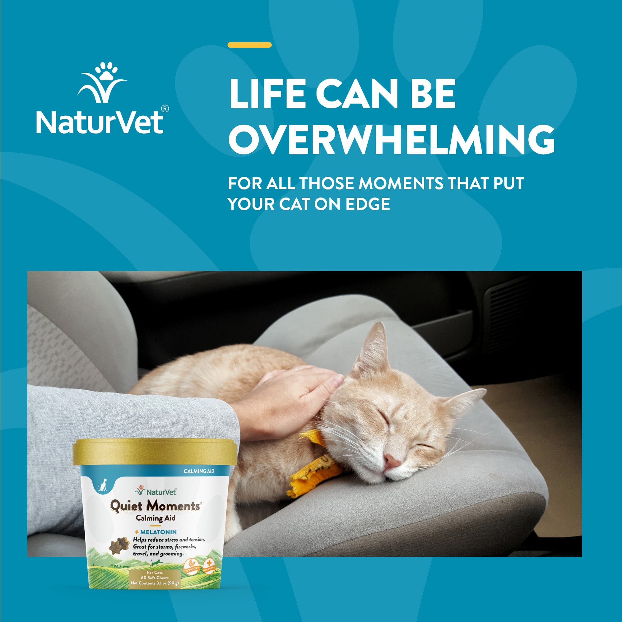 Quiet Moments Cat Soft Chews NaturVet