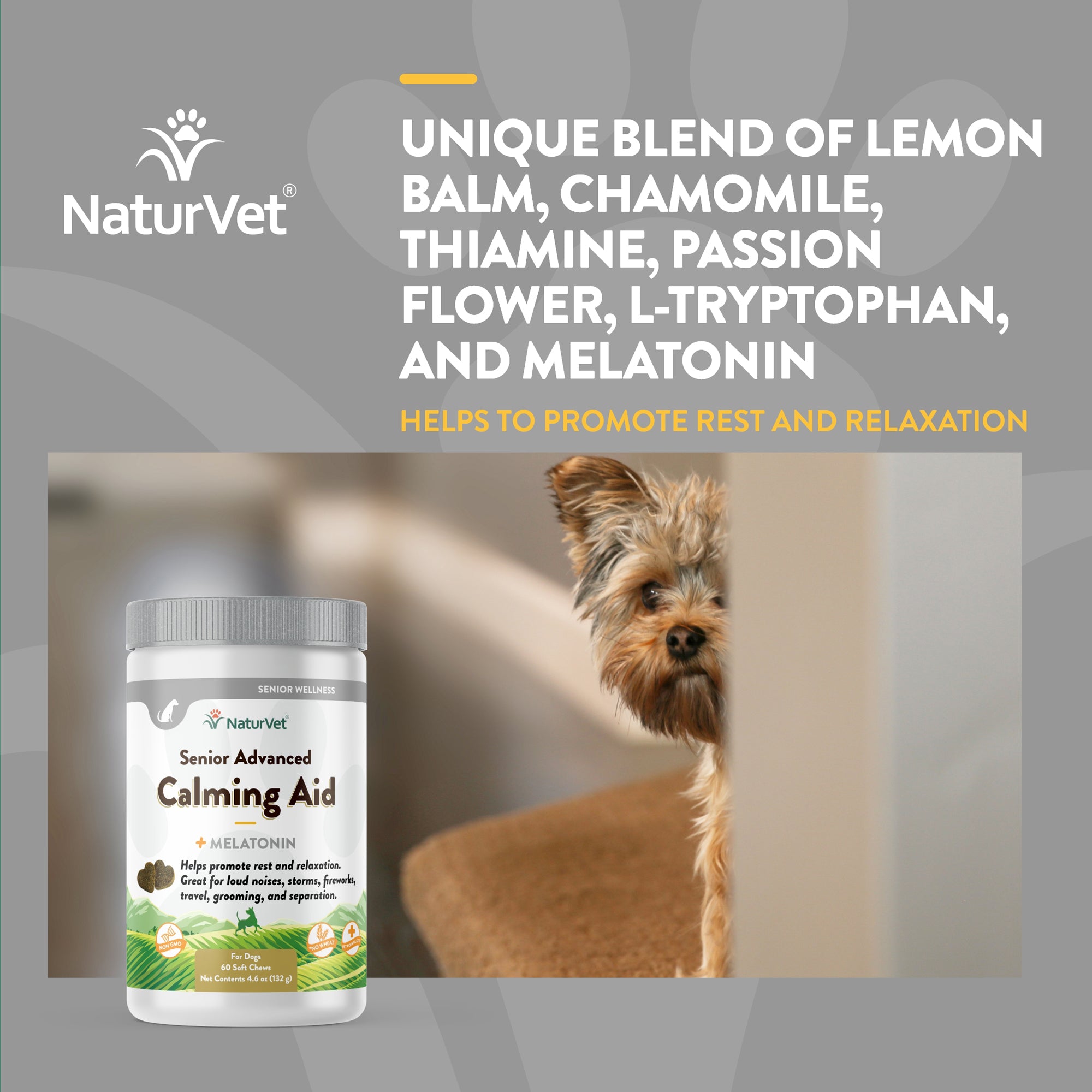 Naturvet calming treats best sale