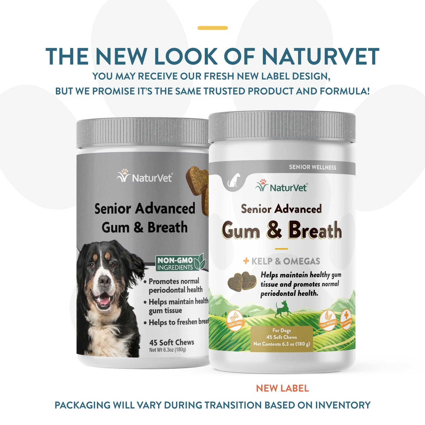 Senior Advanced Gum and Breath Soft Chews