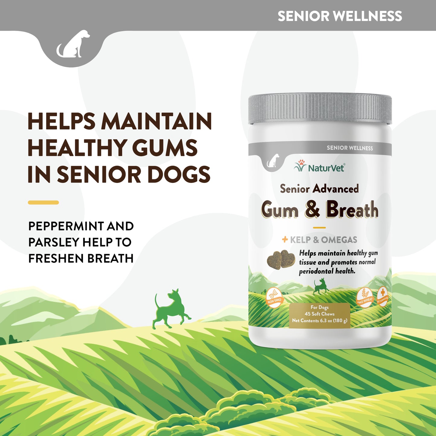 Senior Advanced Gum and Breath Soft Chews