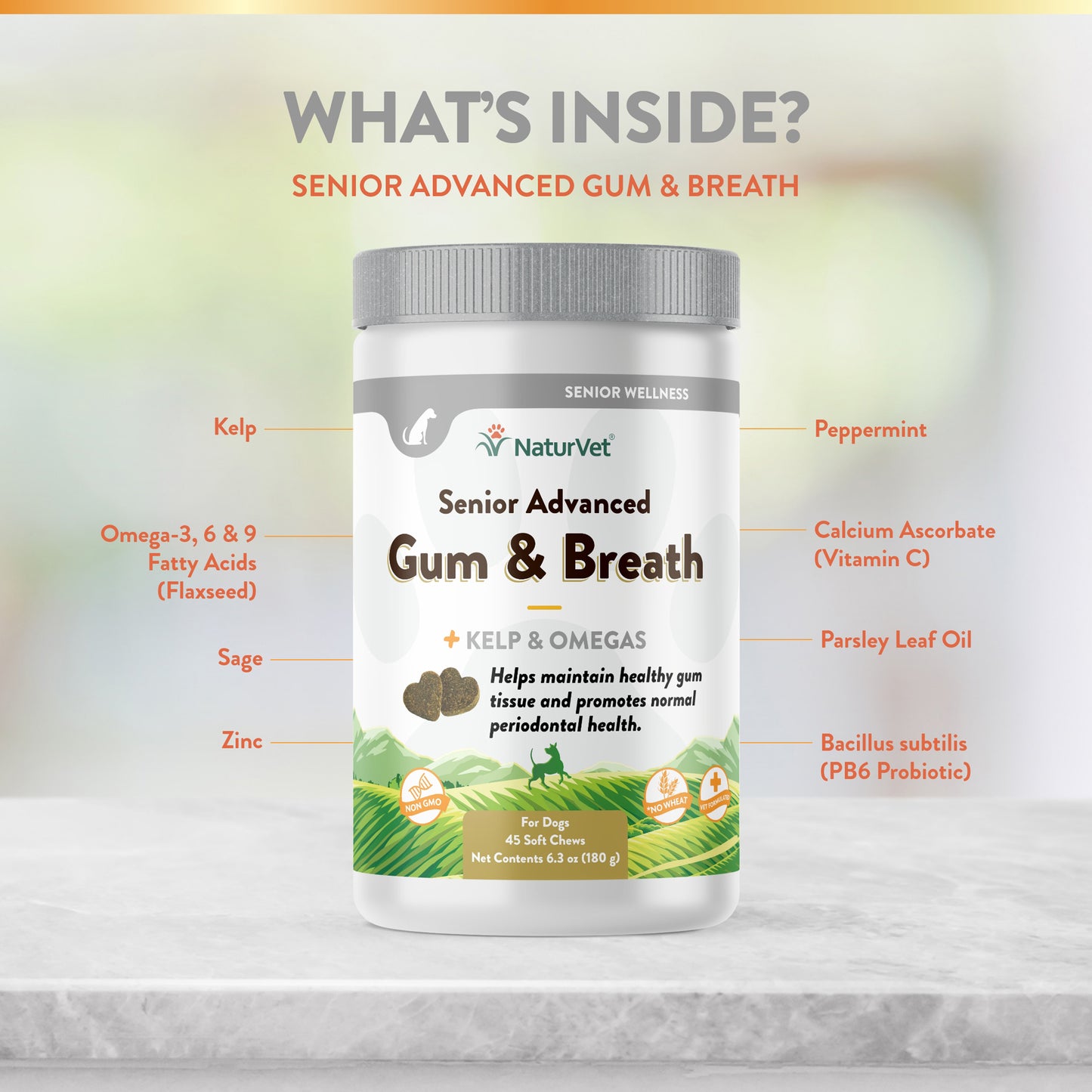 Senior Advanced Gum and Breath Soft Chews