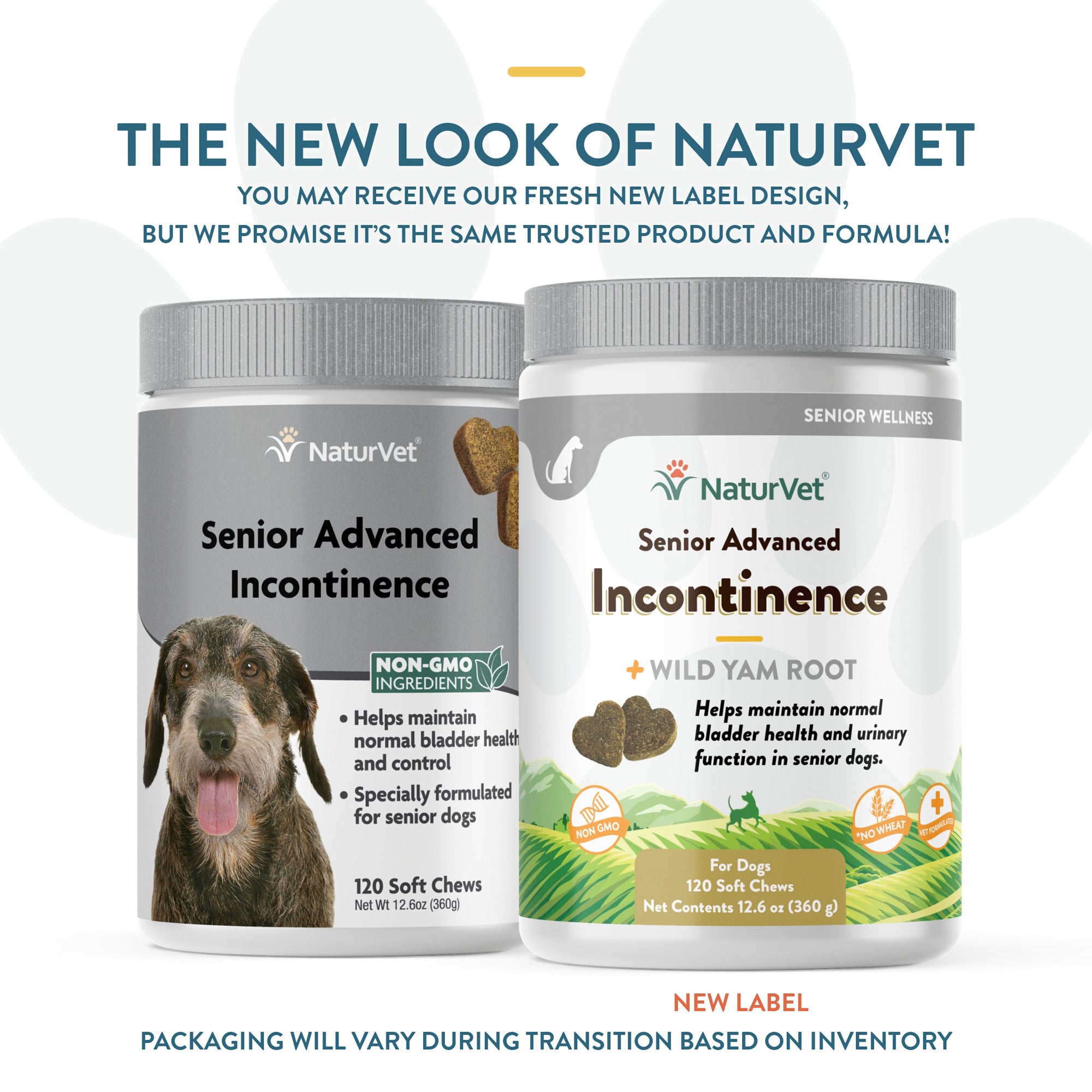 Best dog food for urinary outlet incontinence