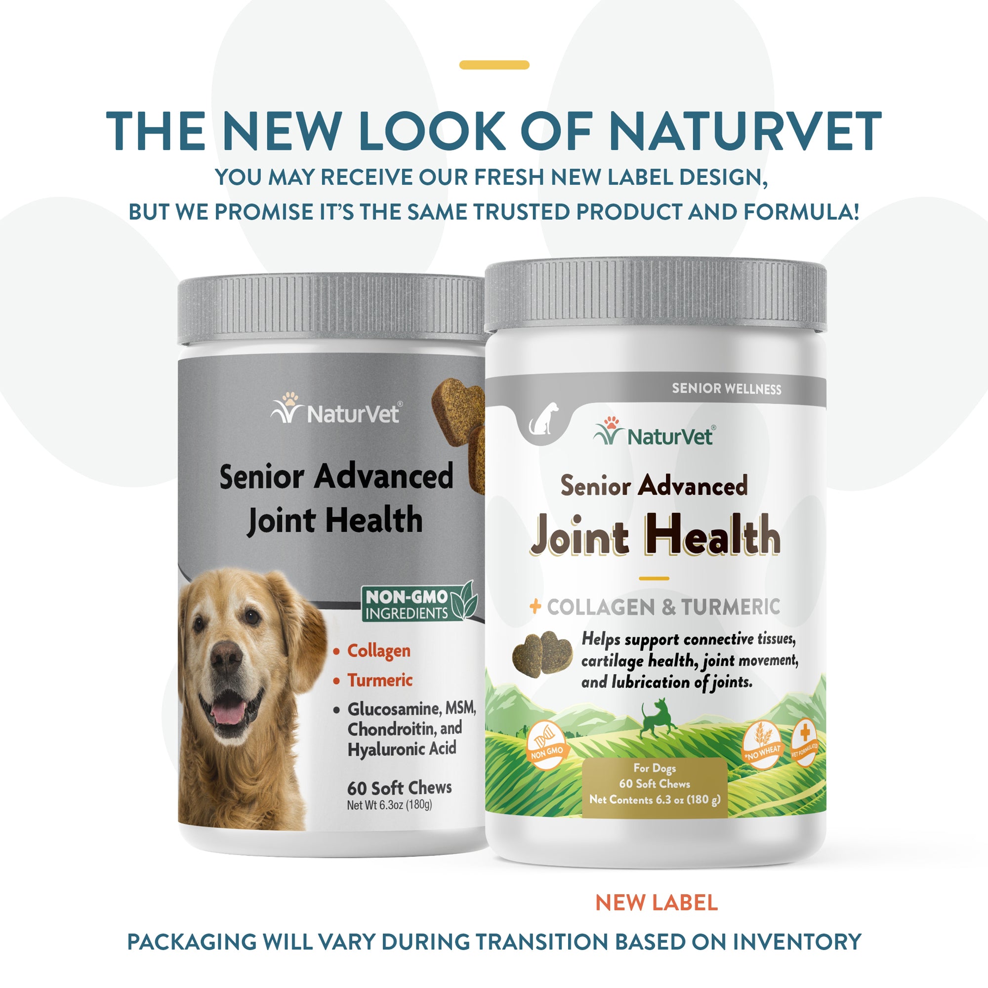 Well and good joint hotsell health for senior dogs