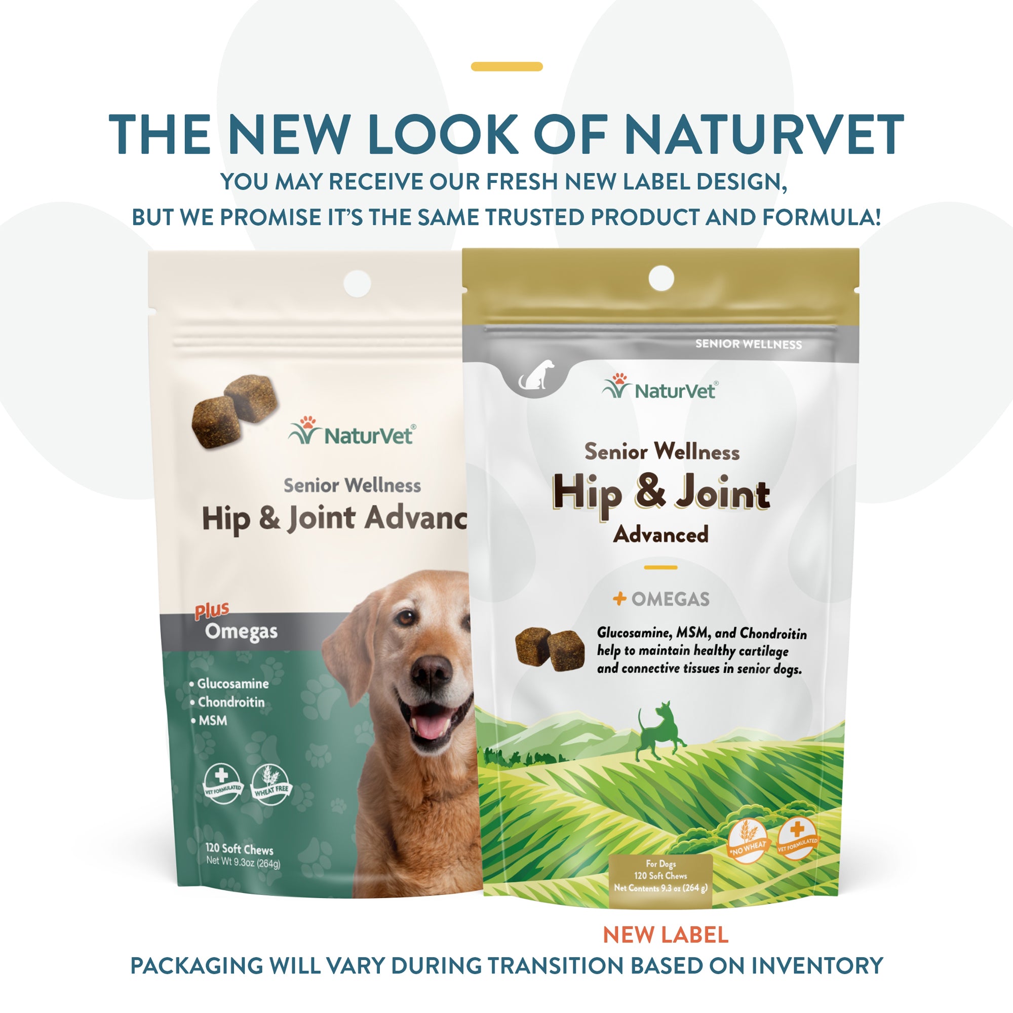 Advanced hip and joint sales for dogs