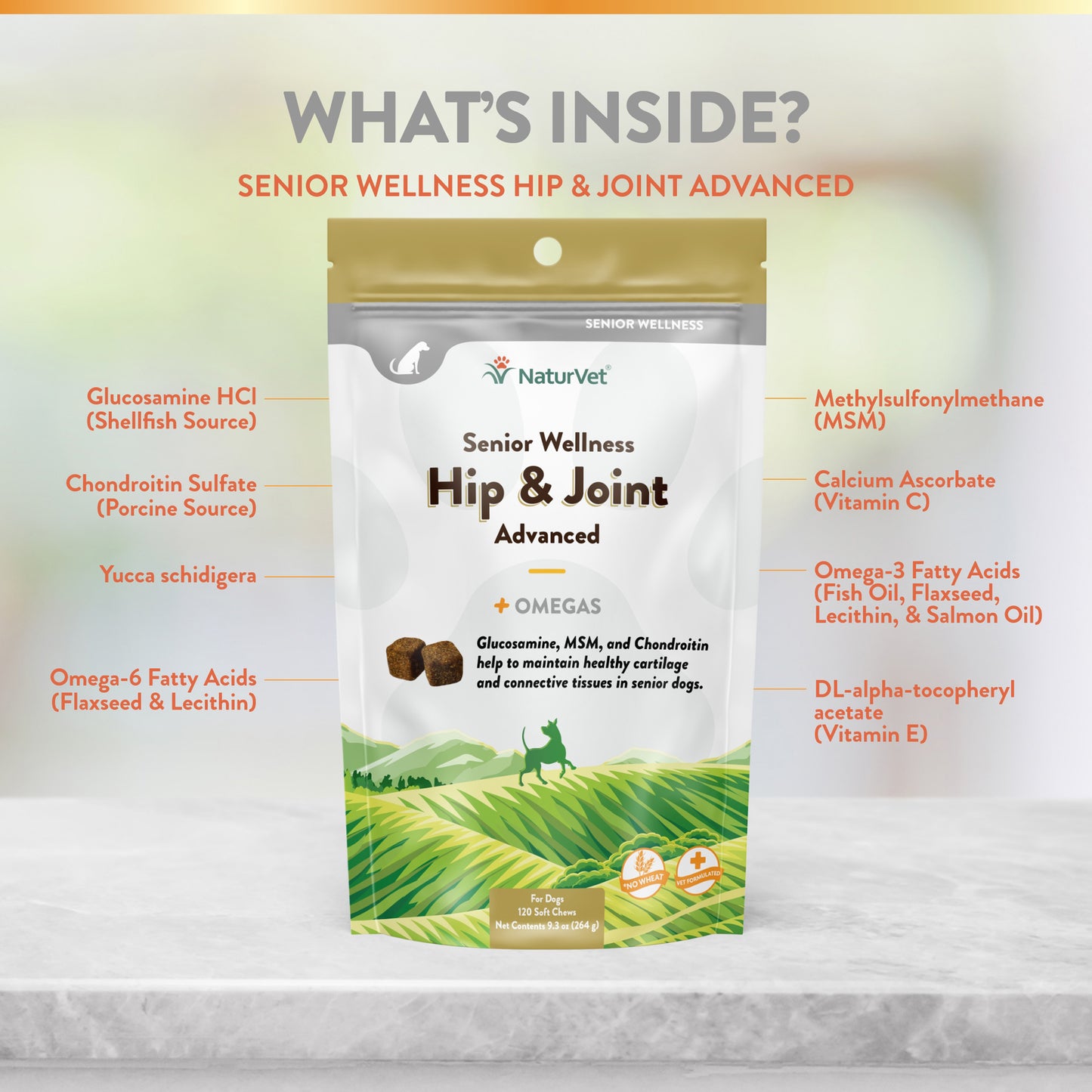 Senior Hip & Joint Advanced Soft Chews
