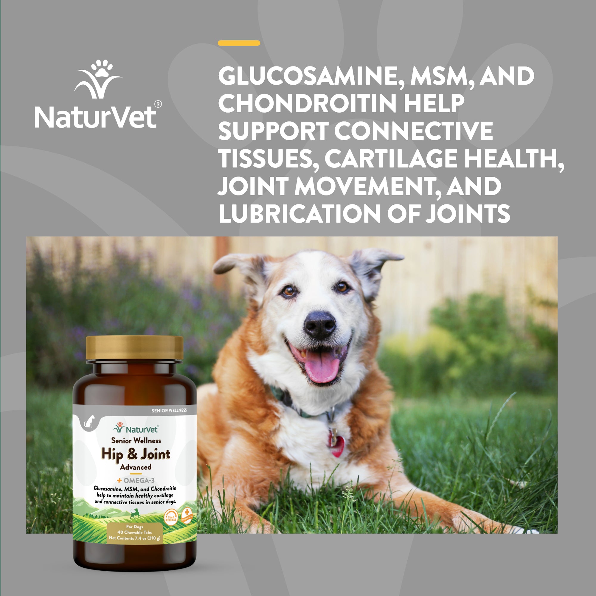 Hip & joint health for store senior dogs