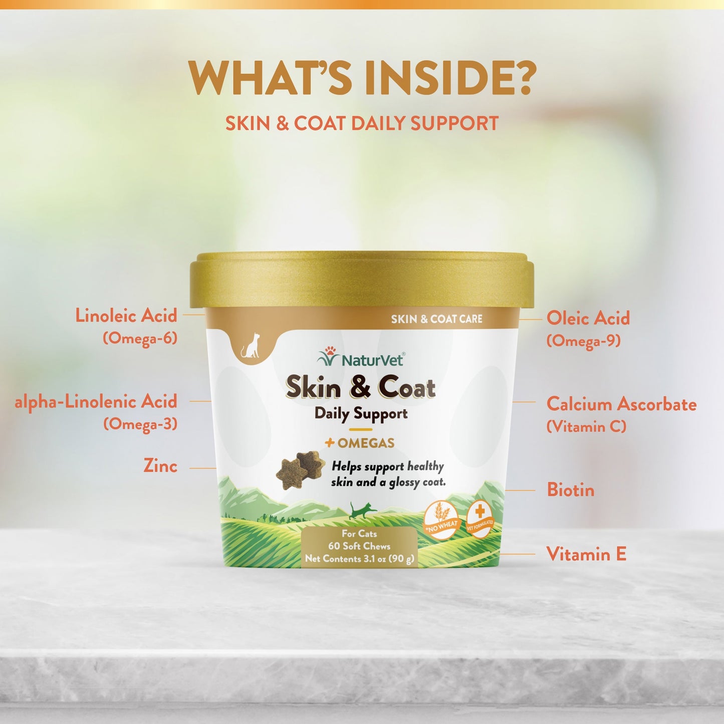 Skin & Coat Cat Soft Chews