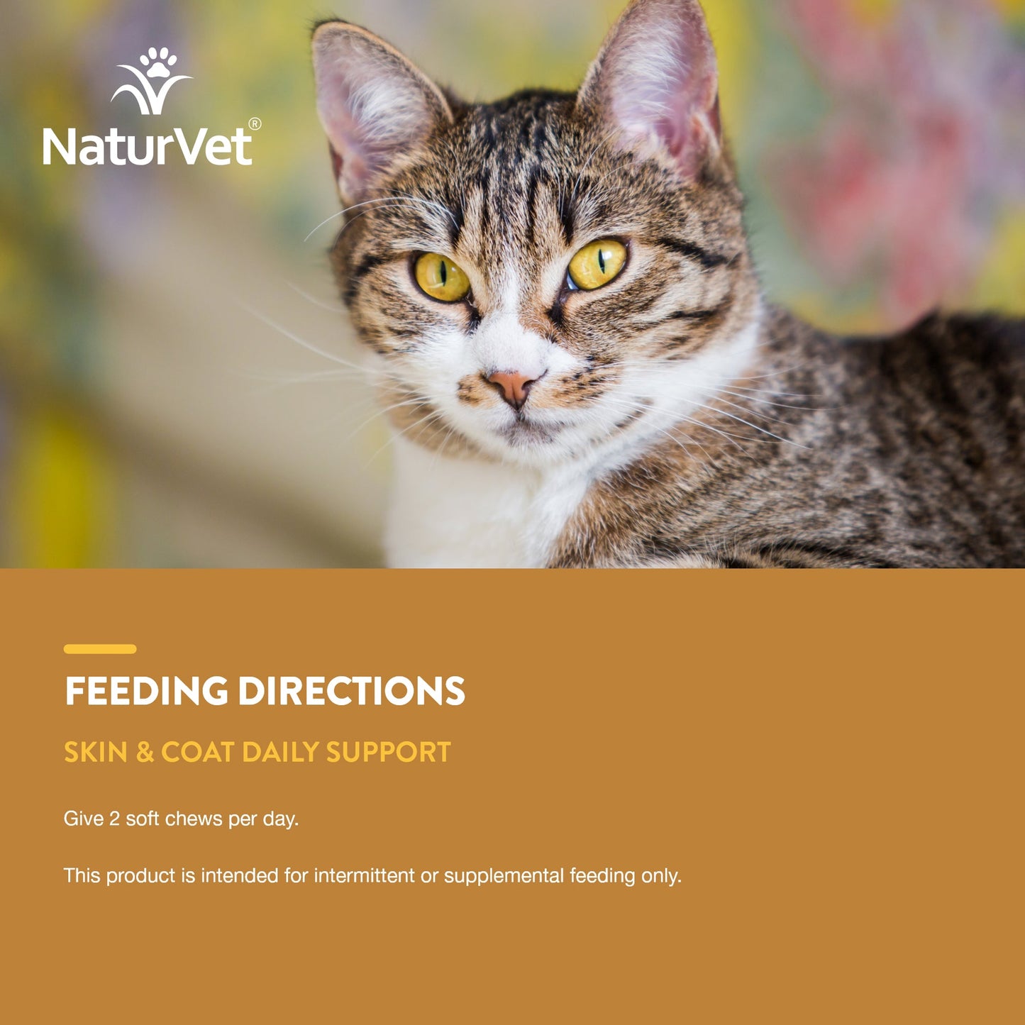 Skin & Coat Cat Soft Chews