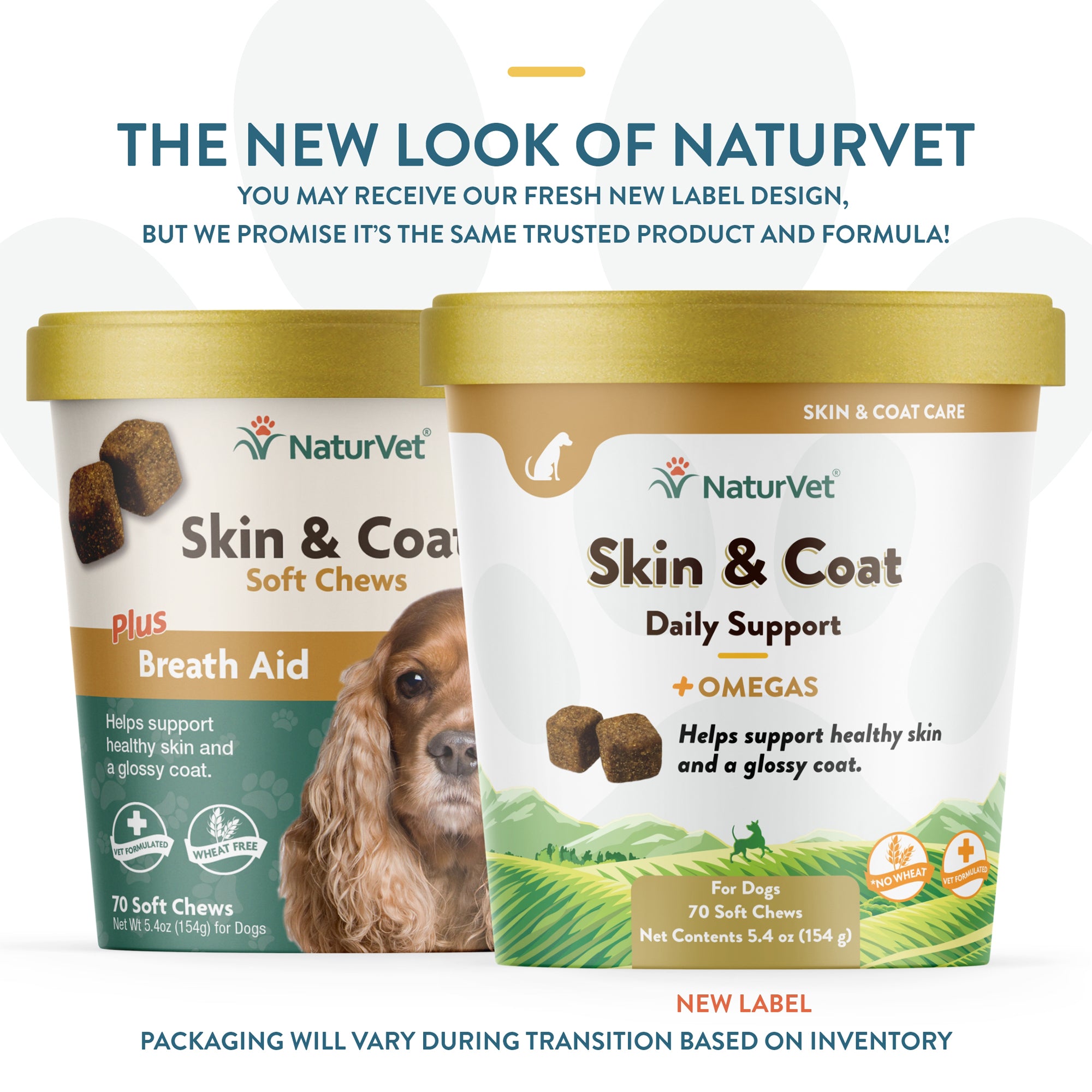 Healthy skin and coat hotsell for dogs