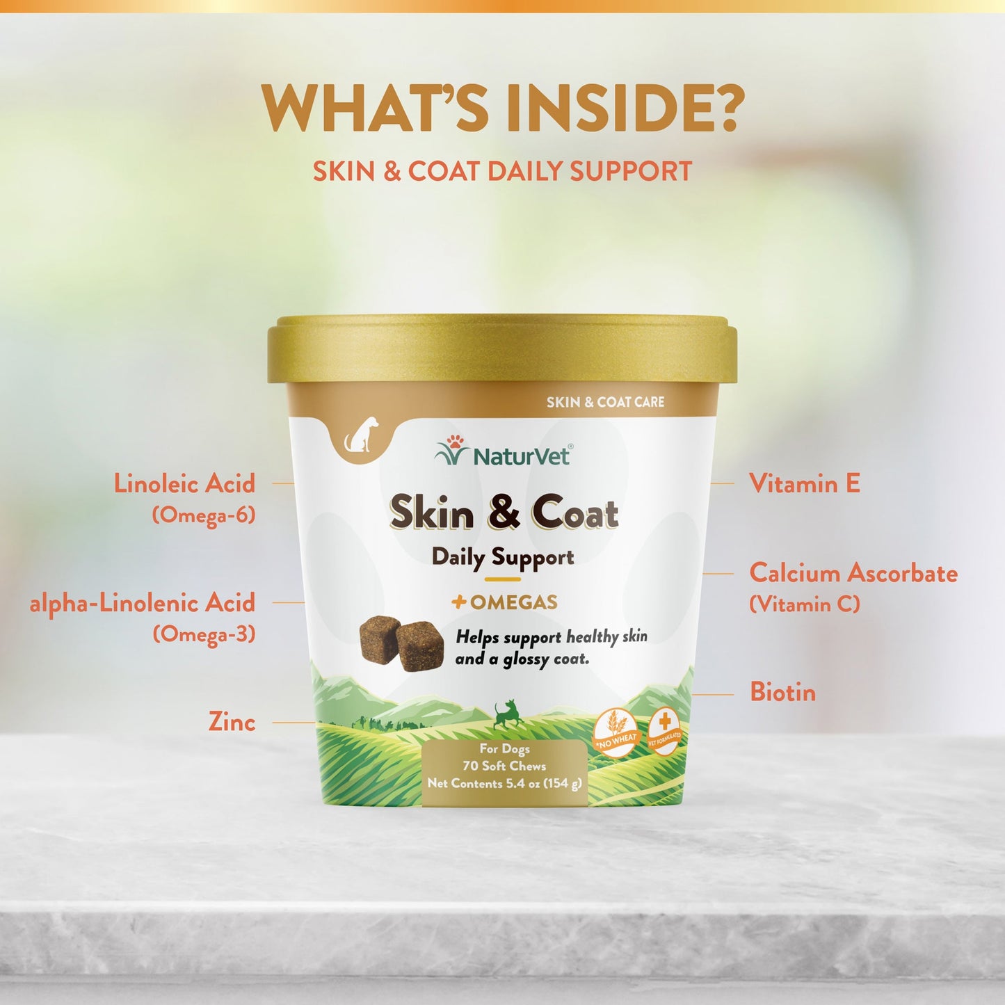 Skin & Coat Soft Chews