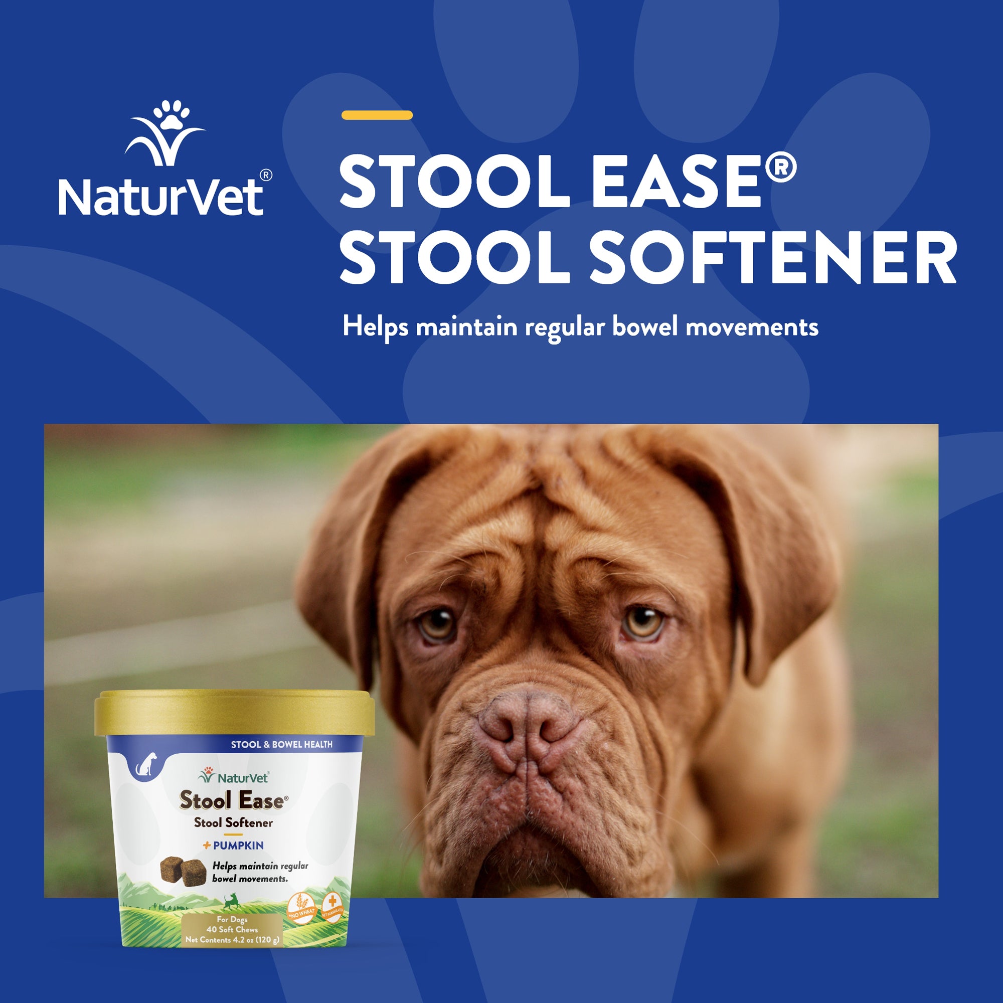 Best stool softener for 2024 dogs