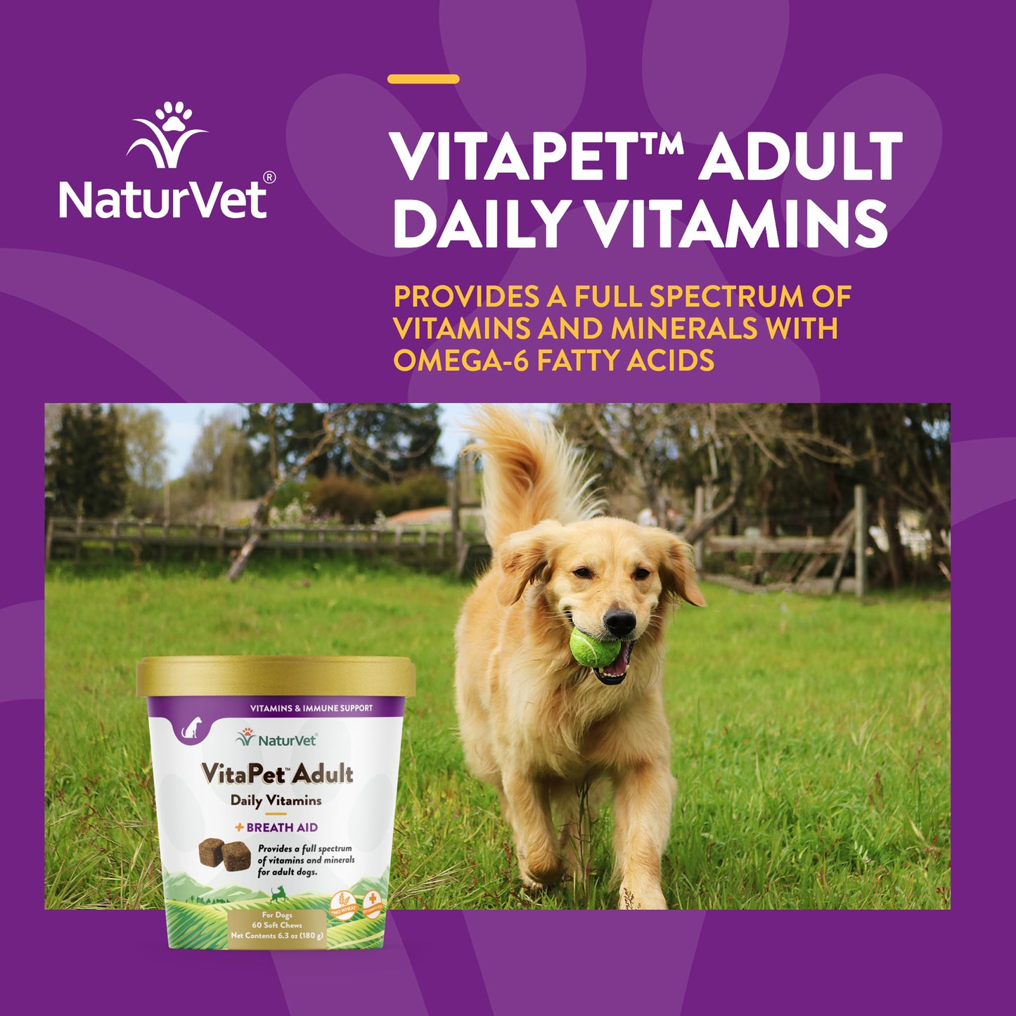 VitaPet™ Adult Daily Vitamins Soft Chews