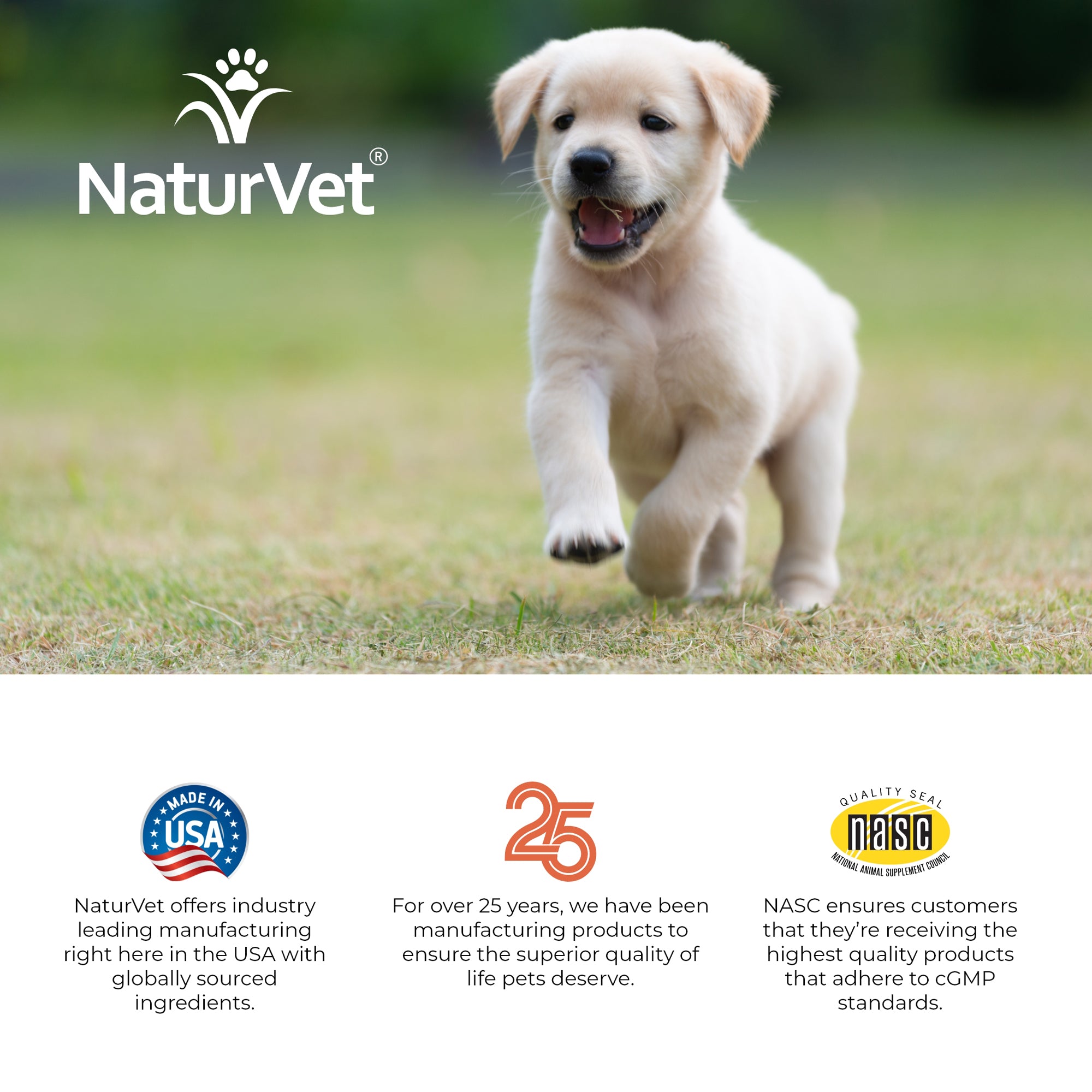 Vitamins for shop labrador puppy