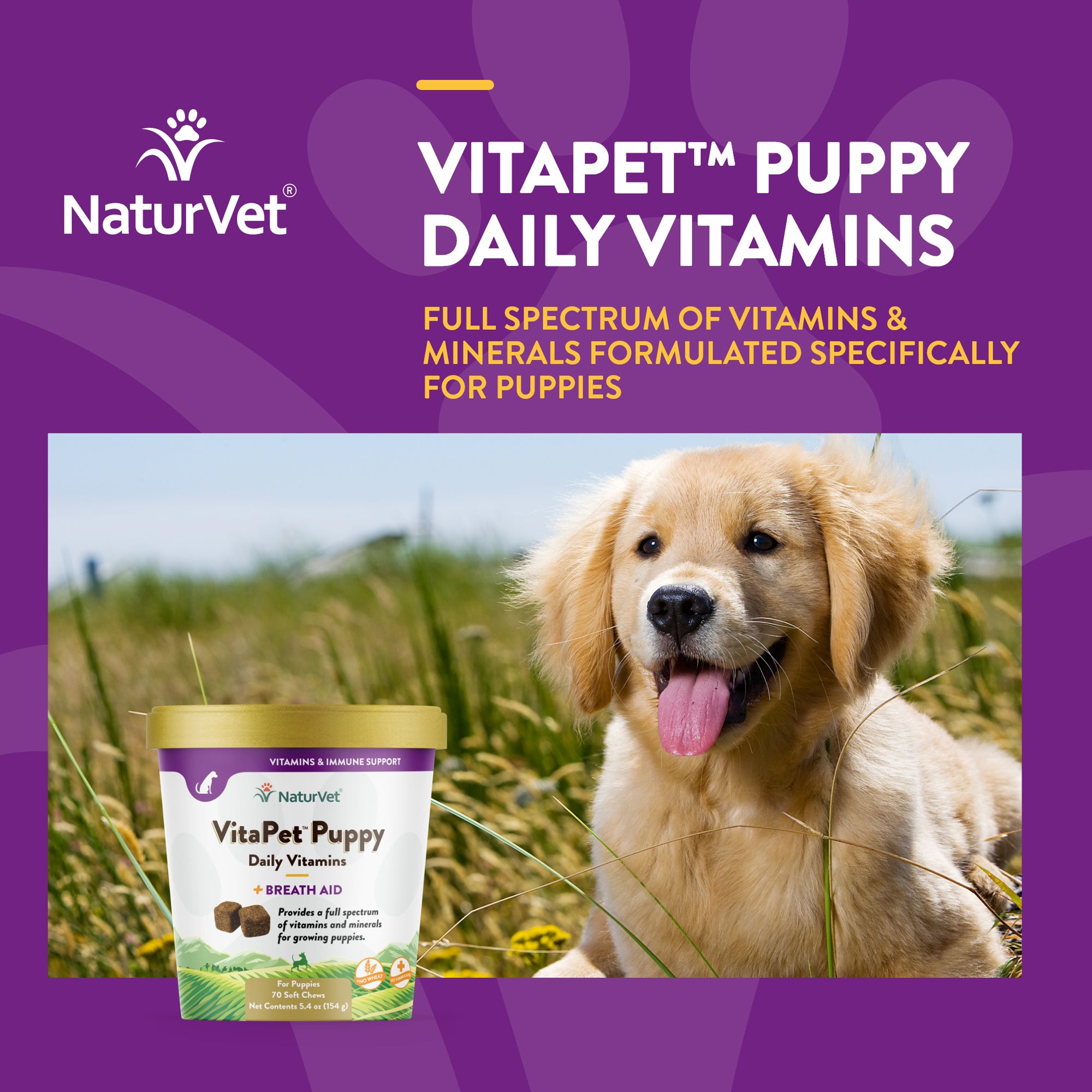 Puppy vitamins hotsell