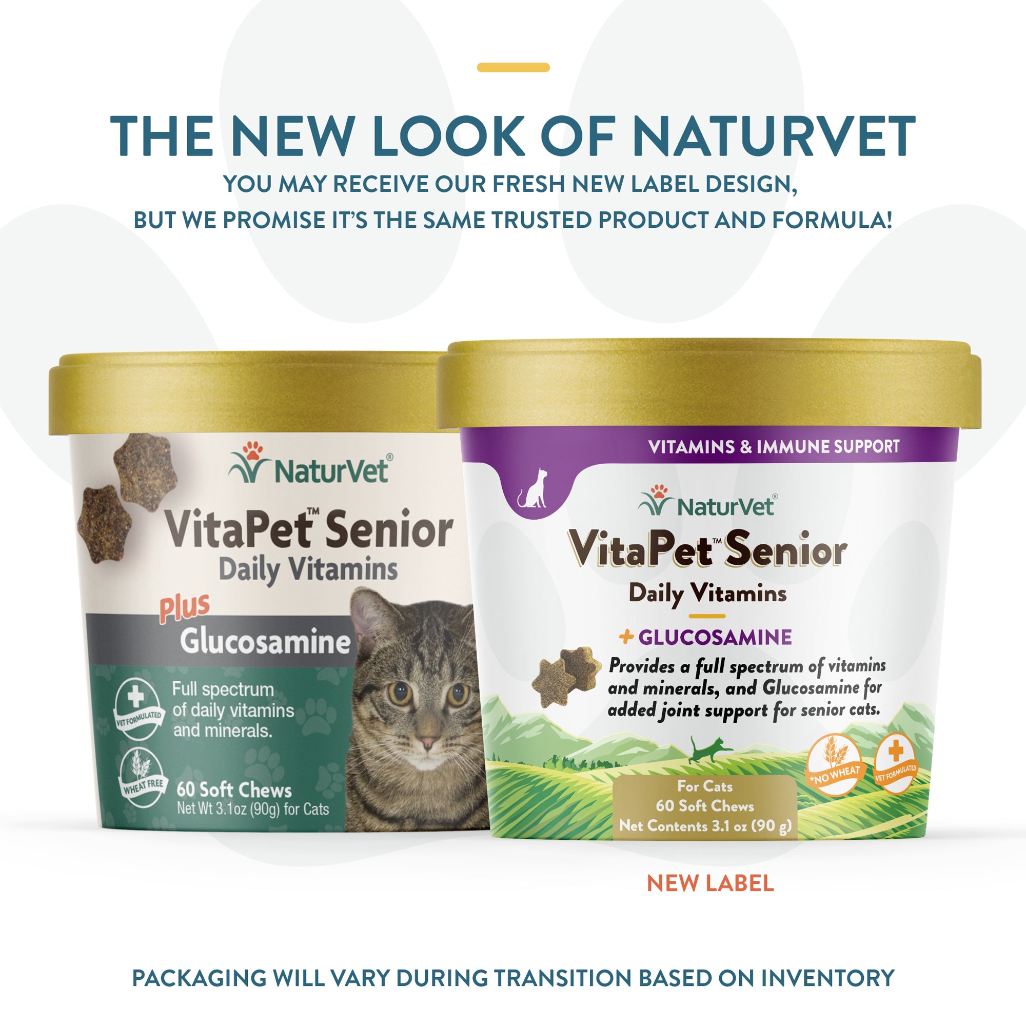 Senior cat hotsell food with glucosamine