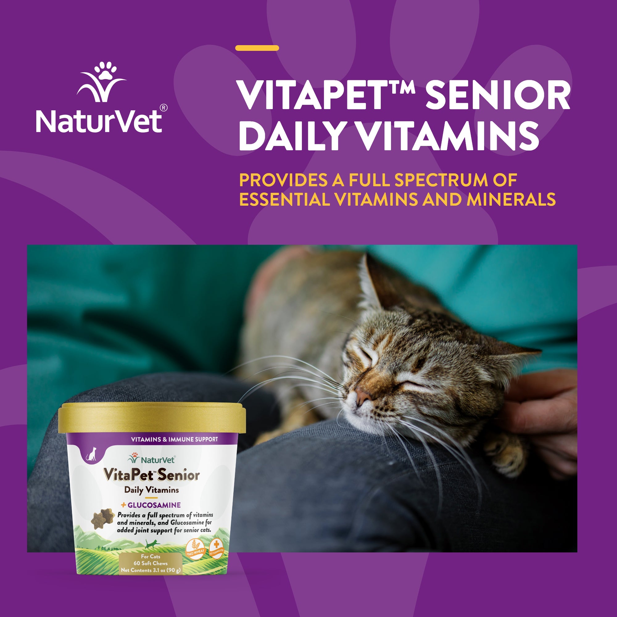 Vitamins for 2025 elderly cats