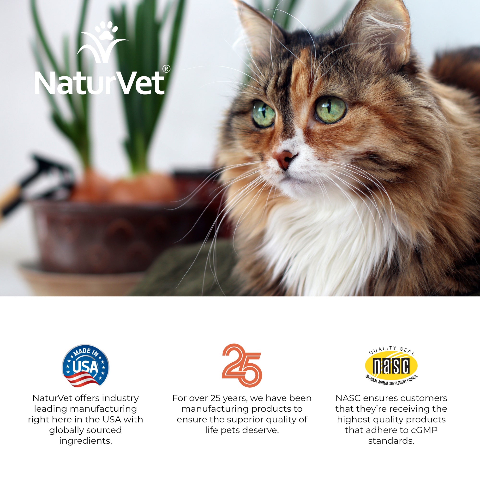 VitaPet Senior Daily Vitamins Cat Soft Chews NaturVet