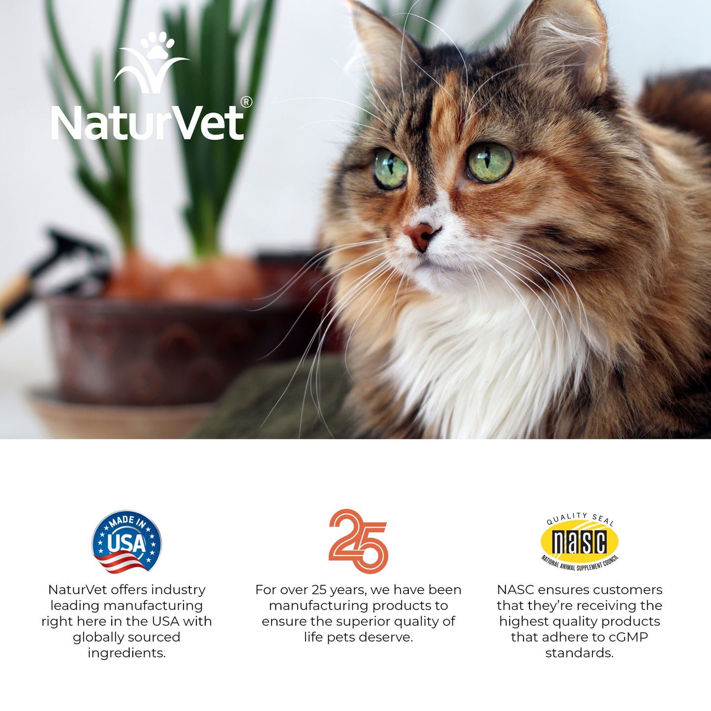 VitaPet™ Senior Daily Vitamins Cat Soft Chews