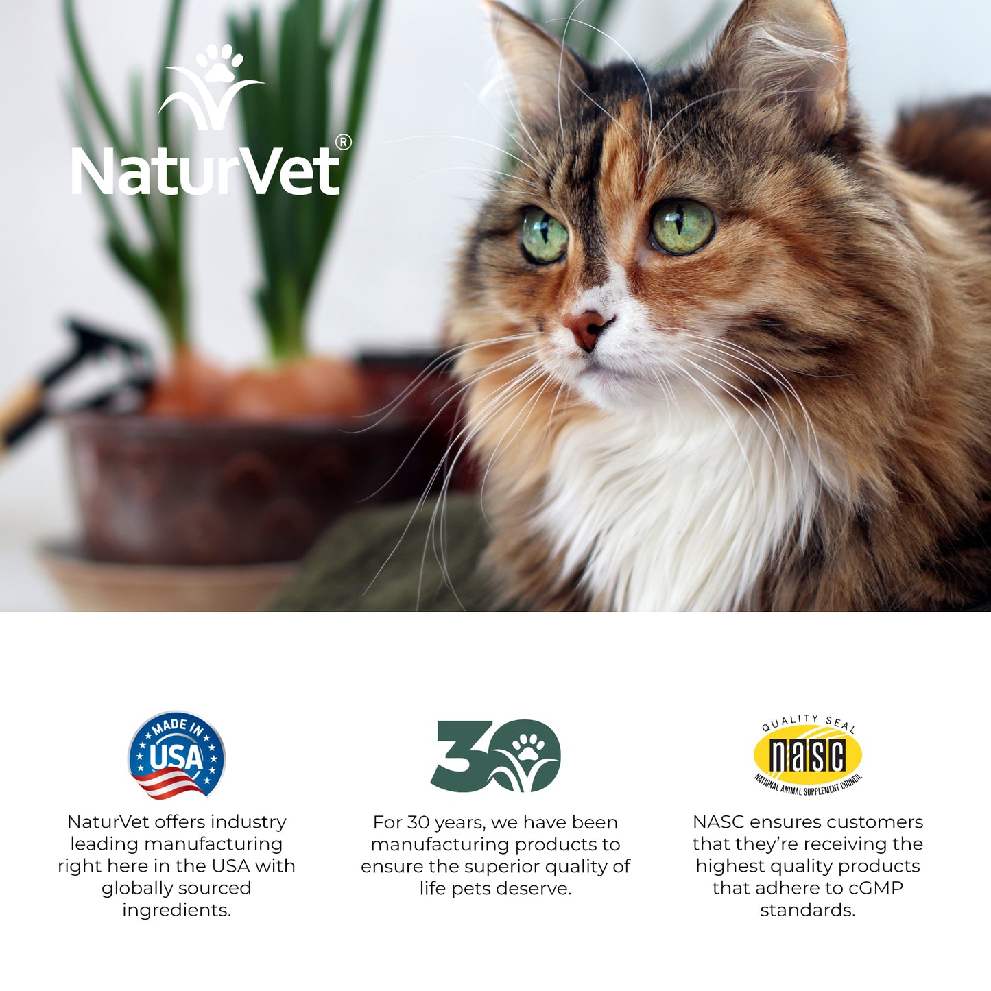 VitaPet™ Senior Daily Vitamins Cat Soft Chews