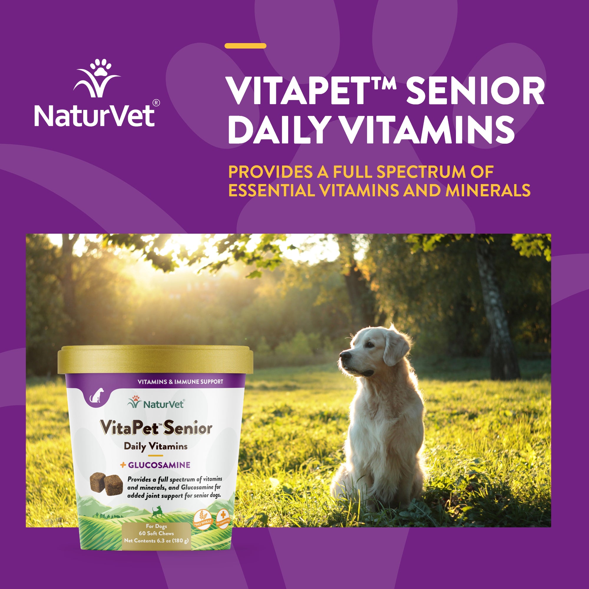 Vitamins for outlet elderly dogs