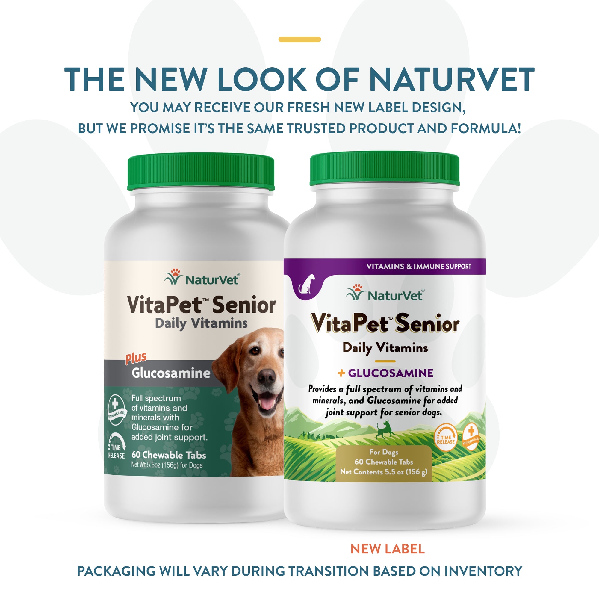 Fashion daily vitamins for dogs