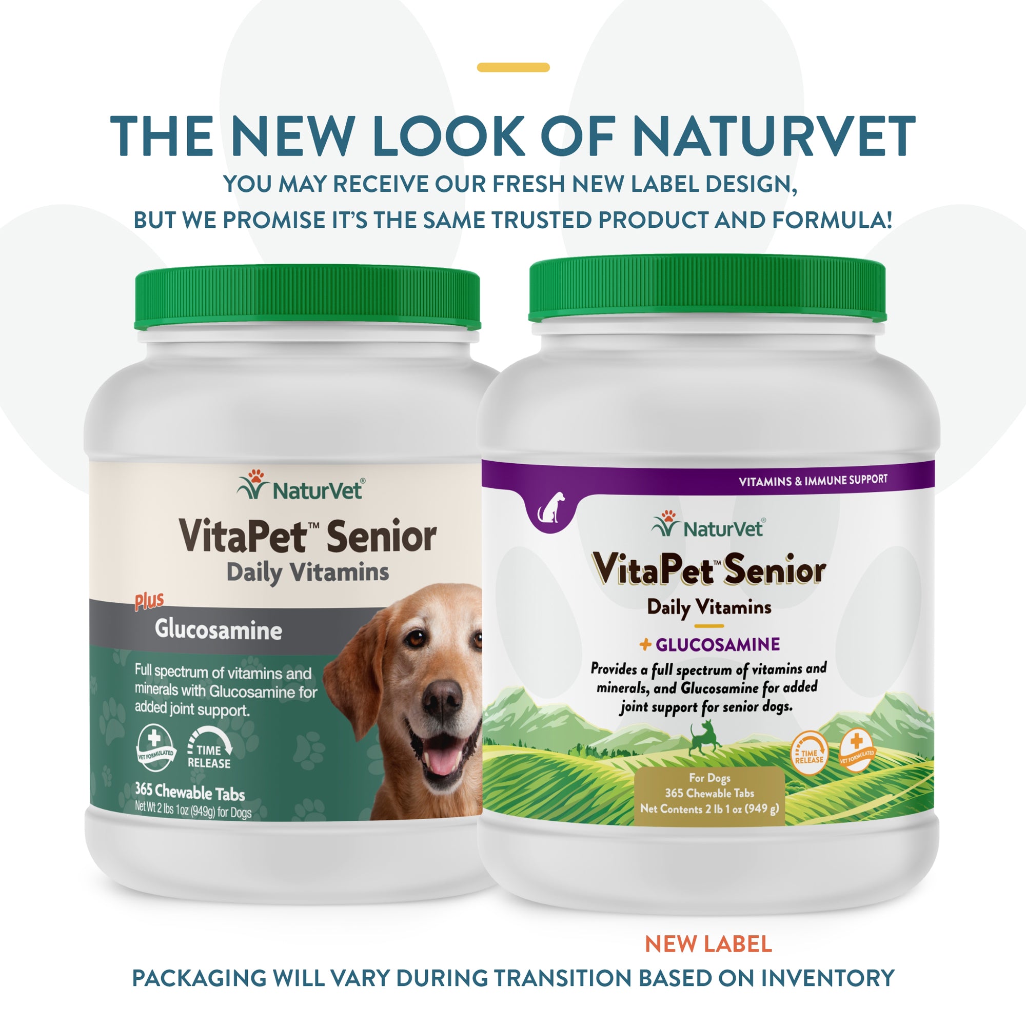 Senior 2025 dog vitamins