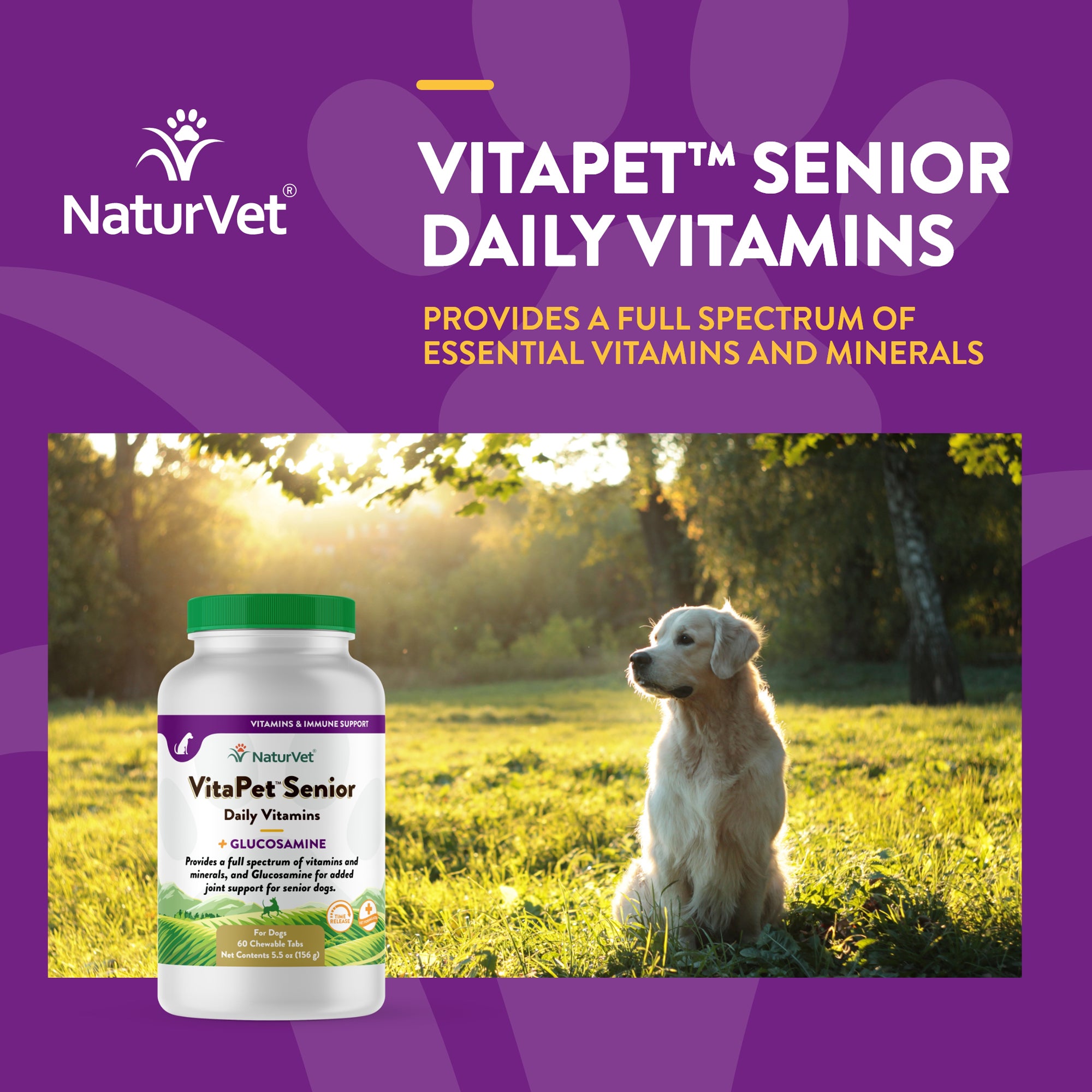 Vitamins for 2025 elderly dogs