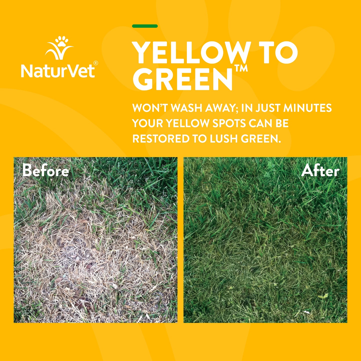 Yellow to Green Lawn Spray