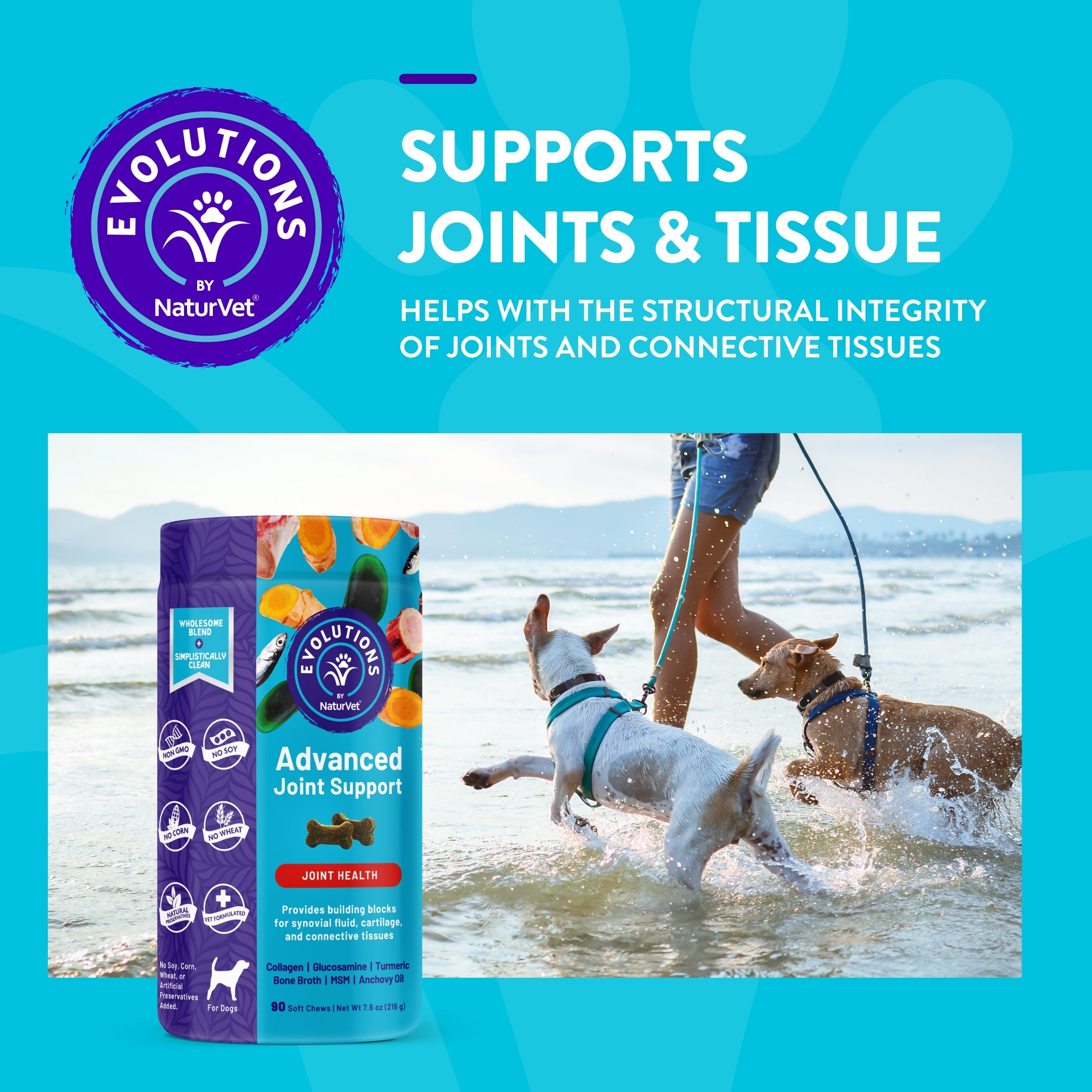 Advanced joint support 2024 supplement for dogs