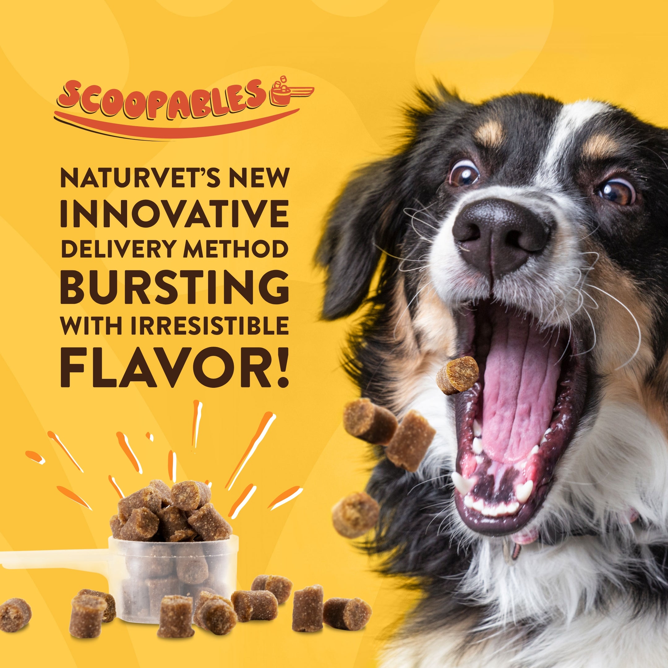 Naturvet all best sale in one