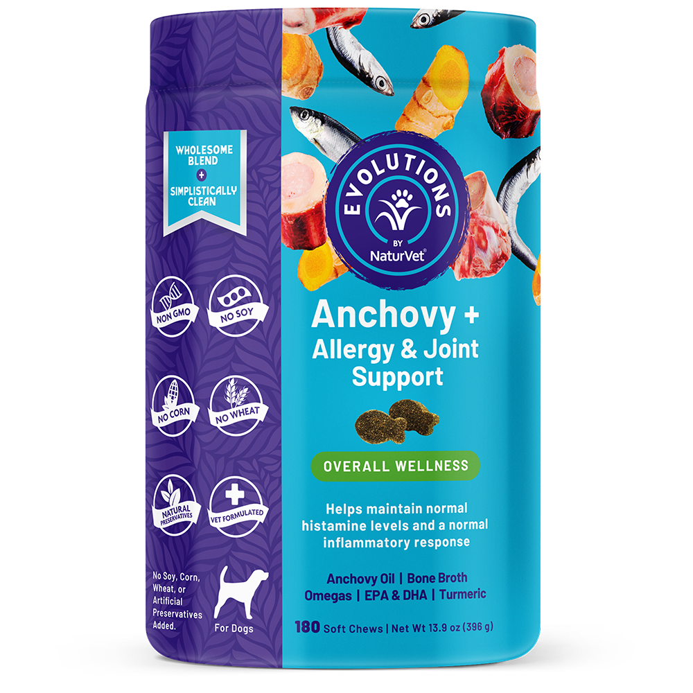 Anchovy clearance for dogs