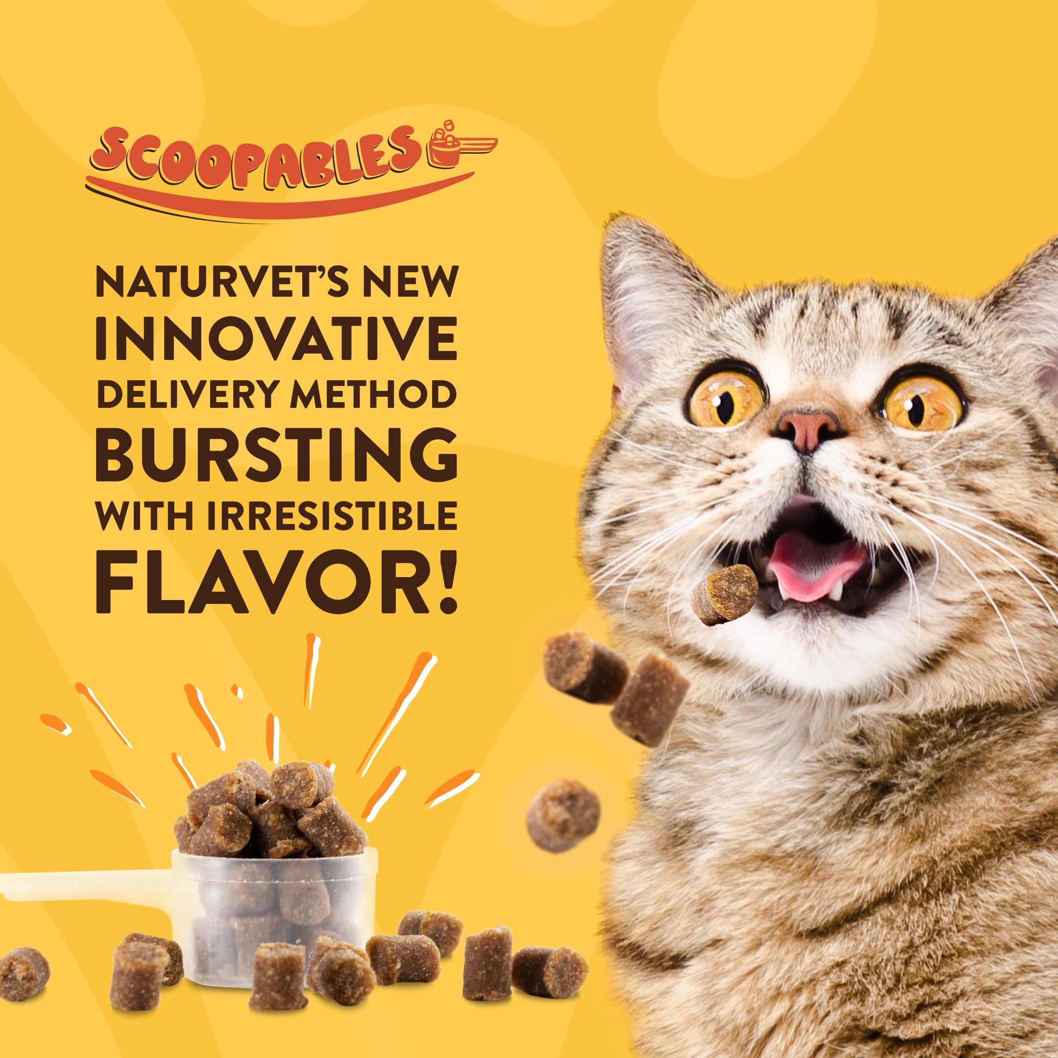 Scoopables Digestive Enzymes Daily Digestive Support for Cats