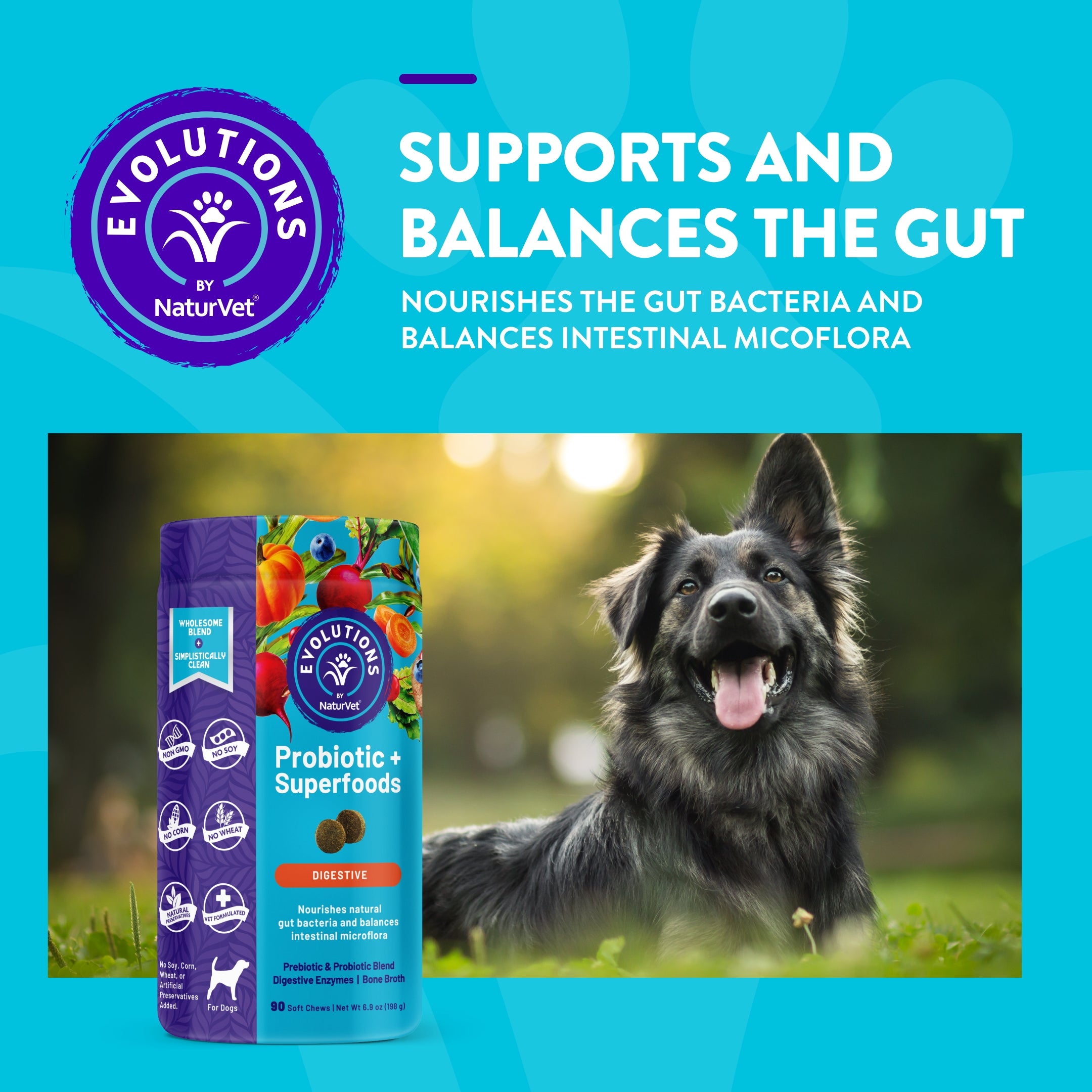 Evolutions Probiotic Superfoods Soft Chews for Dogs NaturVet