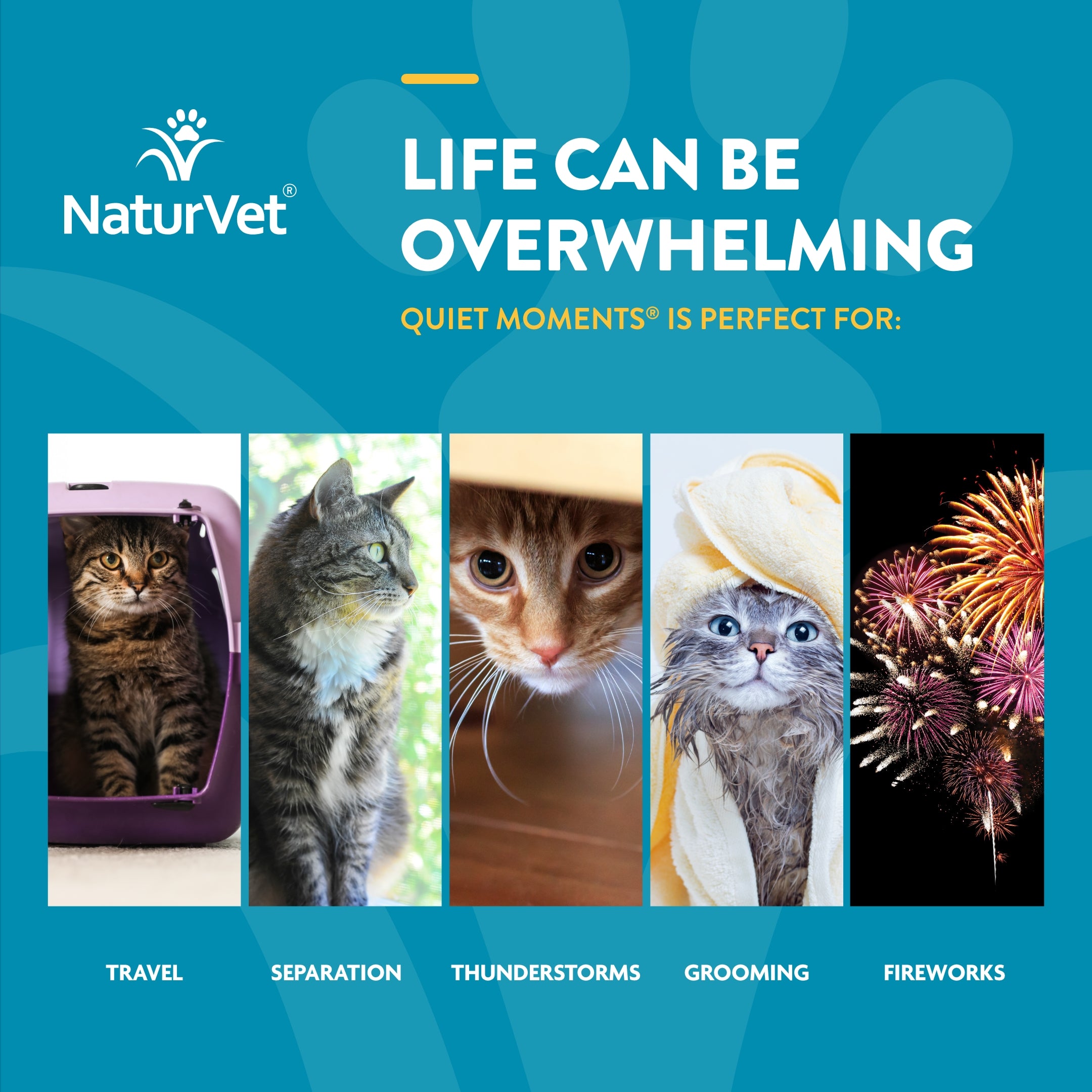 Naturvet calming aid clearance cats